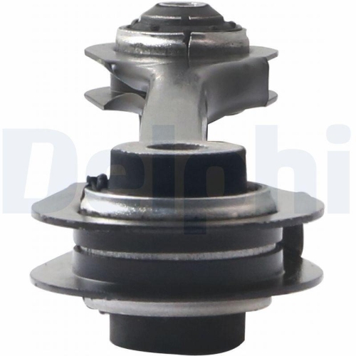 DELPHI Lenker, Radaufhängung