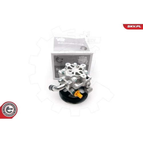 ESEN SKV Hydraulikpumpe, Lenkung