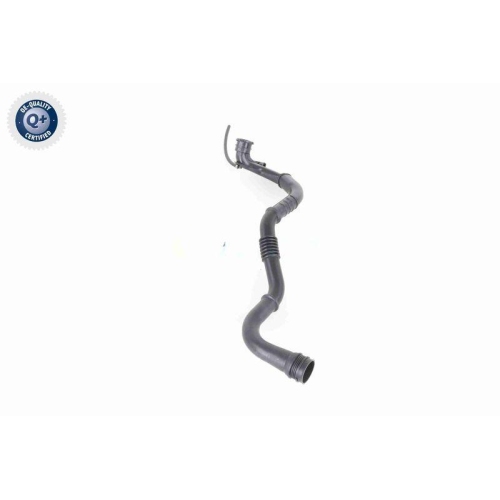 VAICO Ladeluftschlauch Q+, Erstausr&uuml;sterqualit&auml;t V46-0742