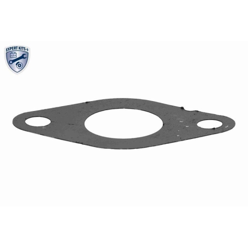 VEMO Rohrleitung, AGR-Ventil EXPERT KITS + V46-64-0002