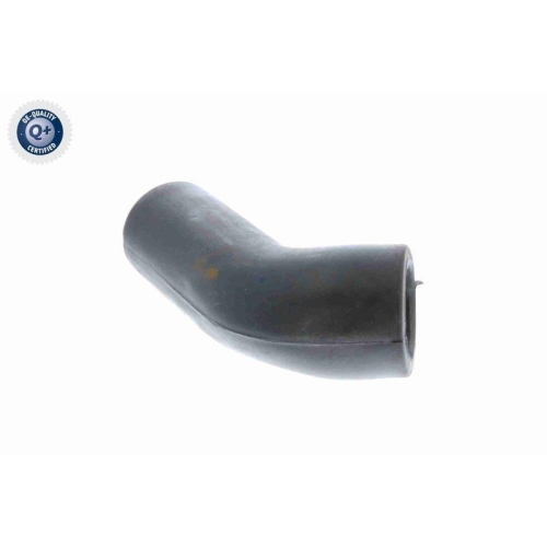 VAICO Schlauch, Kurbelgehäuseentlüftung Q+, Erstausrüsterqualität V10-2943