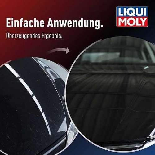 Insektenschwamm Schwamm Insektenentferner Autopflege LIQUI MOLY 1548