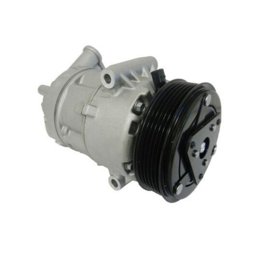 MAHLE Kompressor, Klimaanlage BEHR ACP 189 000S