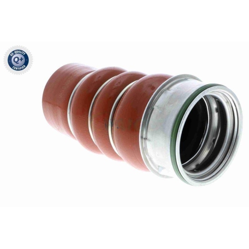 VAICO Ladeluftschlauch Q+, Erstausrüsterqualität