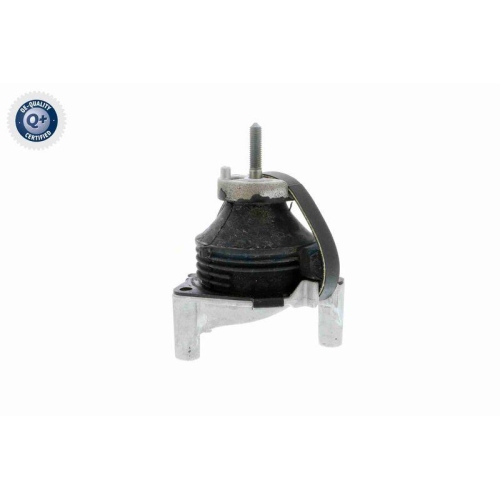 VAICO Lagerung, Motor Q+, Erstausr&uuml;sterqualit&auml;t V50-0031