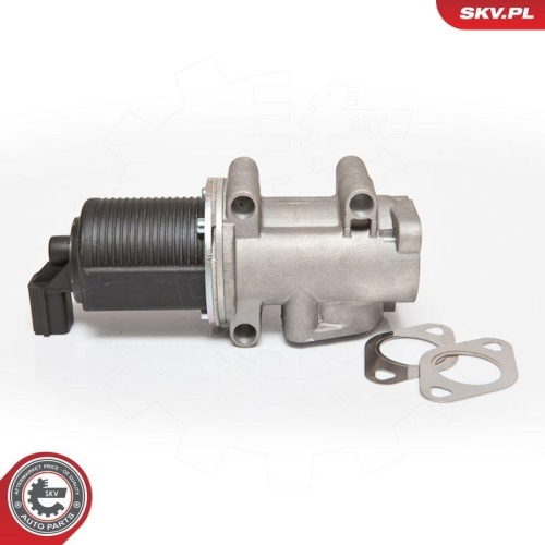 ESEN SKV AGR-Ventil 14SKV055