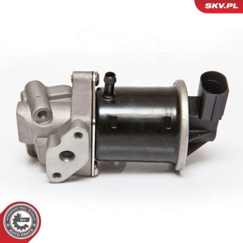 ESEN SKV AGR-Ventil 14SKV074