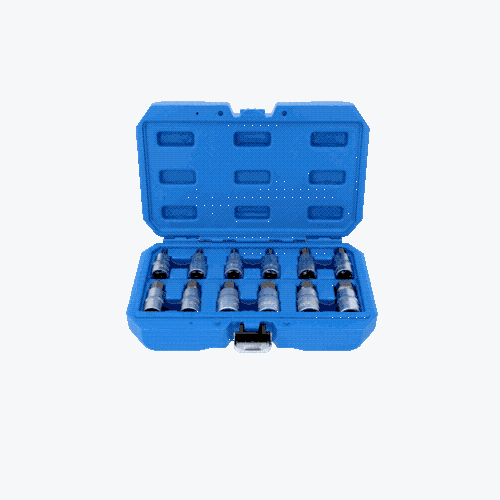 1/2 Zoll Innensechskant Bit-Stecknuss-Satz, 12-tlg, 5 - 22 mm BRILLIANT TOOLS