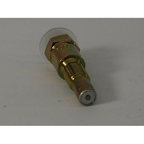 BOSCH Einspritzventil 0 437 004 003
