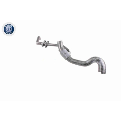 VAICO K&uuml;hlerschlauch Q+, Erstausr&uuml;sterqualit&auml;t