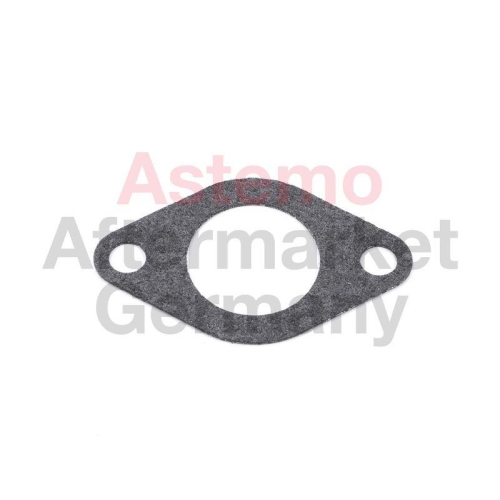 ASTEMO-HITACHI K&uuml;hler, Abgasr&uuml;ckf&uuml;hrung 2505990