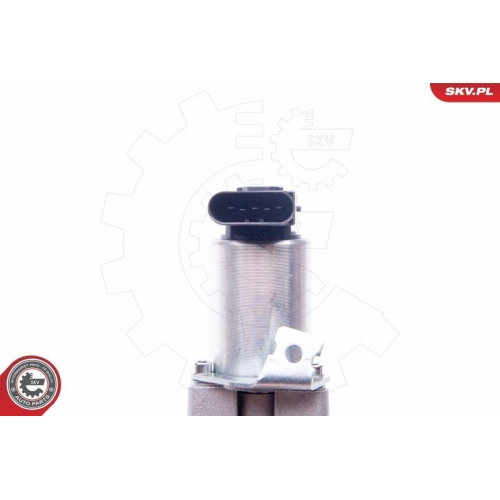 ESEN SKV AGR-Ventil