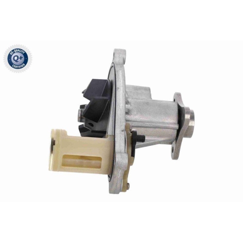 VAICO Wasserpumpe, Motorkühlung Q+, Erstausrüsterqualität