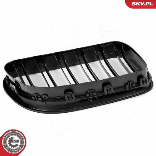 ESEN SKV Kühlergitter