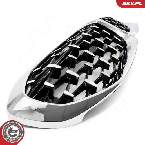 ESEN SKV Kühlergitter