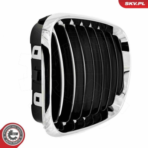 ESEN SKV Kühlergitter