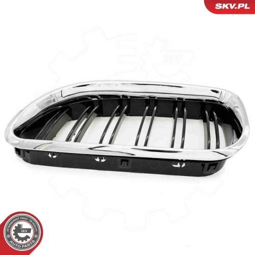 ESEN SKV Kühlergitter