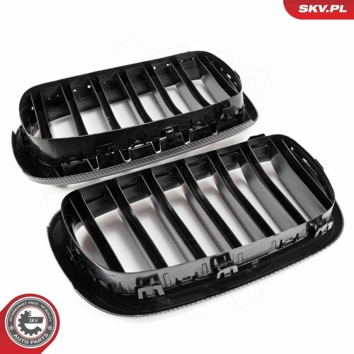 ESEN SKV Kühlergitter