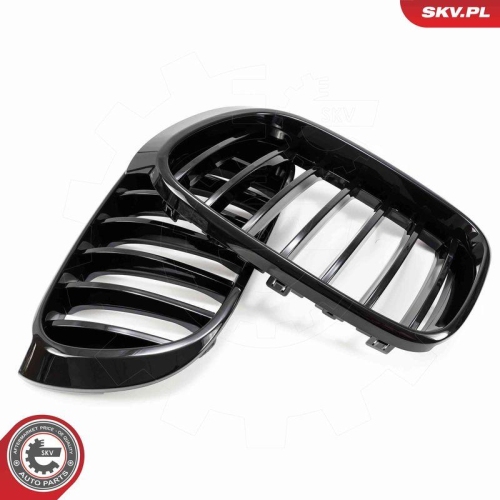 ESEN SKV Kühlergitter