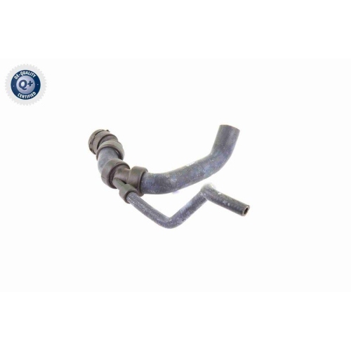 VAICO Kühlerschlauch Q+, Erstausrüsterqualität V10-3195