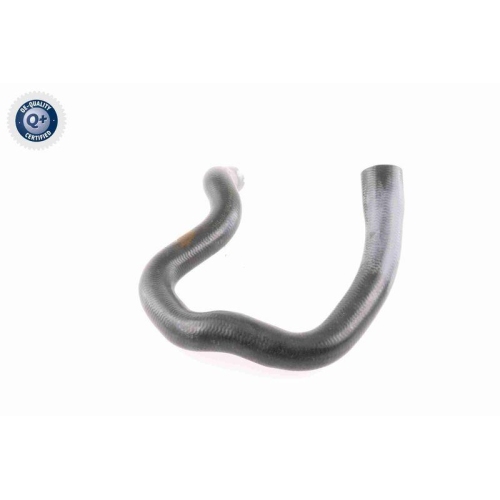 VAICO K&uuml;hlerschlauch Q+, Erstausr&uuml;sterqualit&auml;t V40-1779