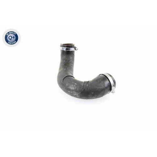 VAICO Ladeluftschlauch Q+, Erstausrüsterqualität