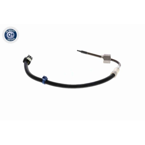 VEMO Sensor, Abgastemperatur Q+, Erstausr&uuml;sterqualit&auml;t V30-72-0831