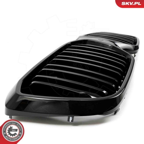 ESEN SKV Kühlergitter