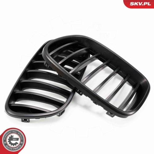 ESEN SKV Kühlergitter