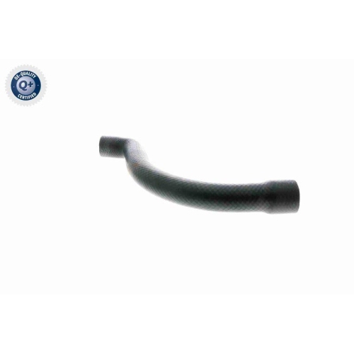 VAICO Kühlerschlauch Q+, Erstausrüsterqualität V20-1252