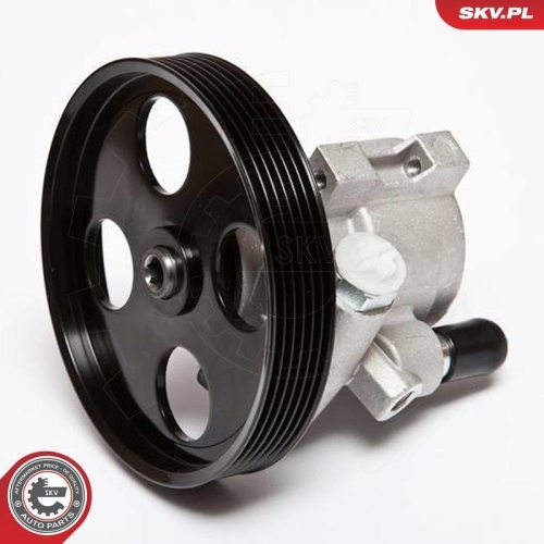 ESEN SKV Hydraulikpumpe, Lenkung 10SKV069