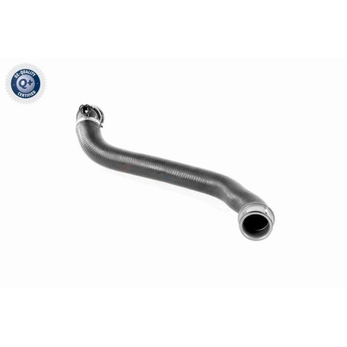 VAICO Kühlerschlauch Q+, Erstausrüsterqualität V30-2911