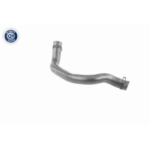 VAICO K&uuml;hlerschlauch Q+, Erstausr&uuml;sterqualit&auml;t V20-3244