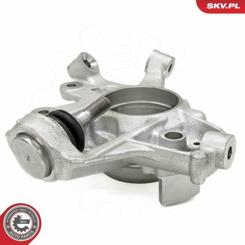 ESEN SKV Achsschenkel, Radaufhängung