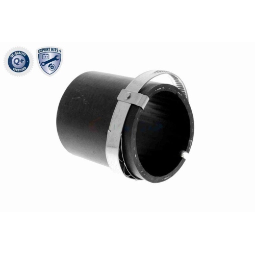 VAICO Ladeluftschlauch EXPERT KITS + V10-3780