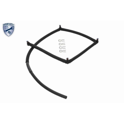 VAICO Schlauch, Leckkraftstoff EXPERT KITS + V22-0809