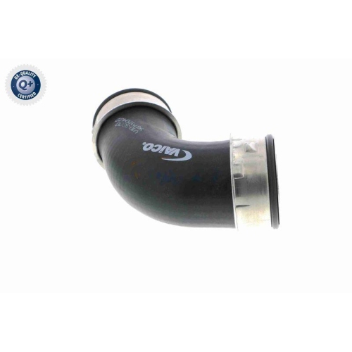 VAICO Ladeluftschlauch Q+, Erstausrüsterqualität V10-3800