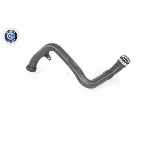 VAICO Ladeluftschlauch Q+, Erstausrüsterqualität V40-2262