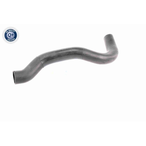 VAICO Ladeluftschlauch Q+, Erstausr&uuml;sterqualit&auml;t V42-0610