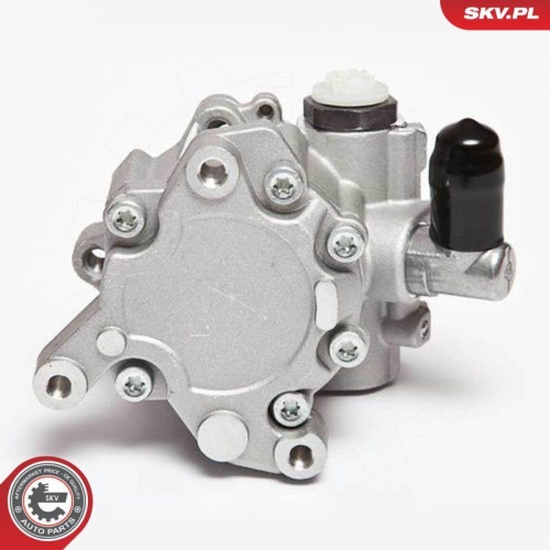 ESEN SKV Hydraulikpumpe, Lenkung 10SKV043
