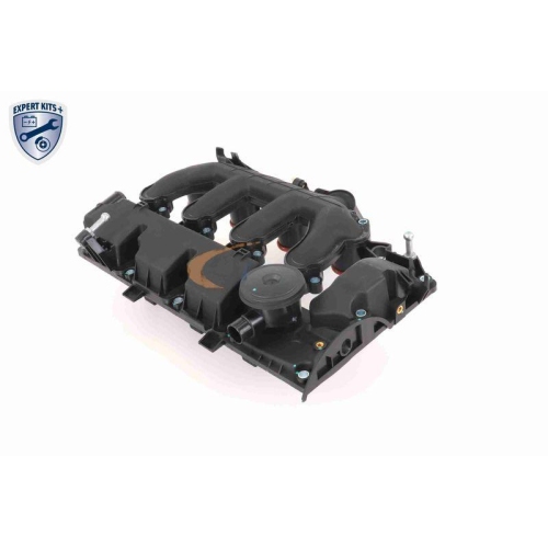 VAICO Zylinderkopfhaube EXPERT KITS + V42-1046