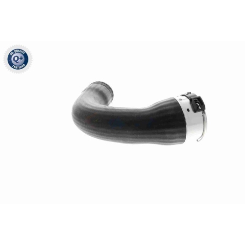 VAICO Ladeluftschlauch Q+, Erstausrüsterqualität V10-4378