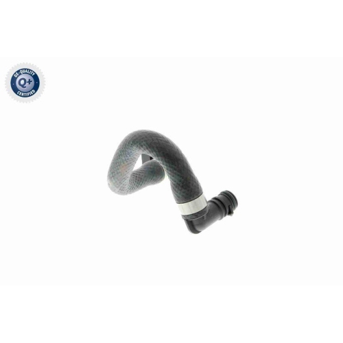 VAICO Kühlerschlauch Q+, Erstausrüsterqualität V20-0883