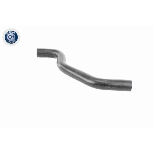 VAICO K&uuml;hlerschlauch Q+, Erstausr&uuml;sterqualit&auml;t V46-0901