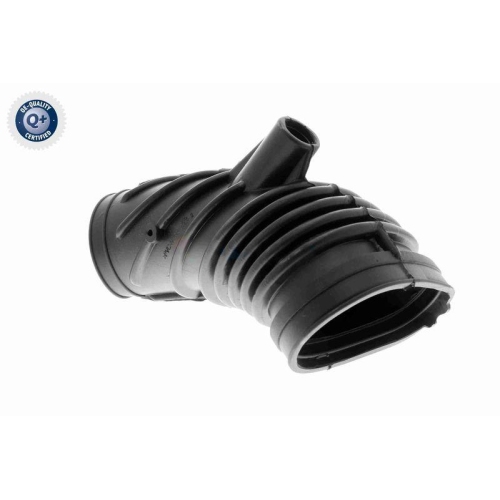 VAICO Ansaugschlauch, Luftfilter Q+, Erstausrüsterqualität V20-2134