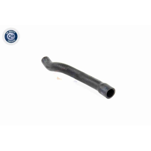 VAICO Kühlerschlauch Q+, Erstausrüsterqualität V20-1611