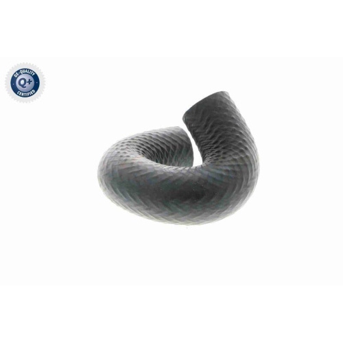 VAICO Kühlerschlauch Q+, Erstausrüsterqualität V20-1697