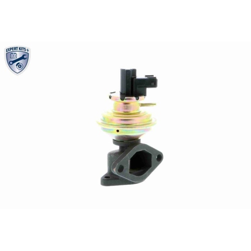 VEMO AGR-Ventil EXPERT KITS + V48-63-0001