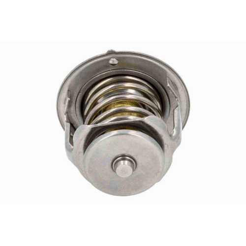 ACKOJA Thermostat, K&uuml;hlmittel Original ACKOJA Qualit&auml;t A52-99-0016