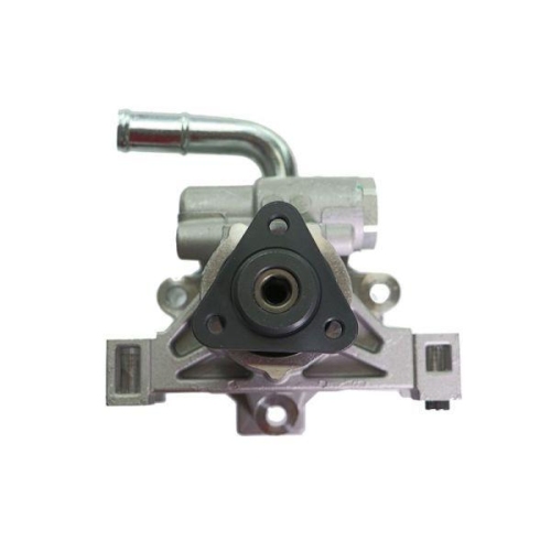 LAUBER Hydraulikpumpe, Lenkung 55.1759